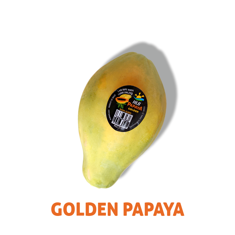 HLB GOLDEN PAPAYA