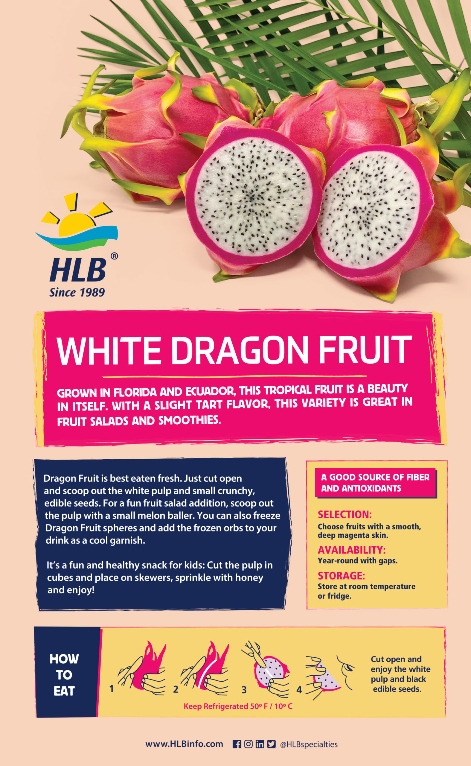 HLB White Dragon Fruit Info Sheet