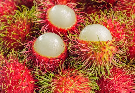 HLB Rambutan-CU