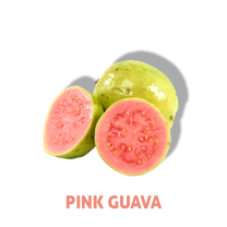 HLB-GUAVA